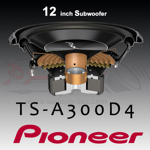 PIONEER TS A300D4 001