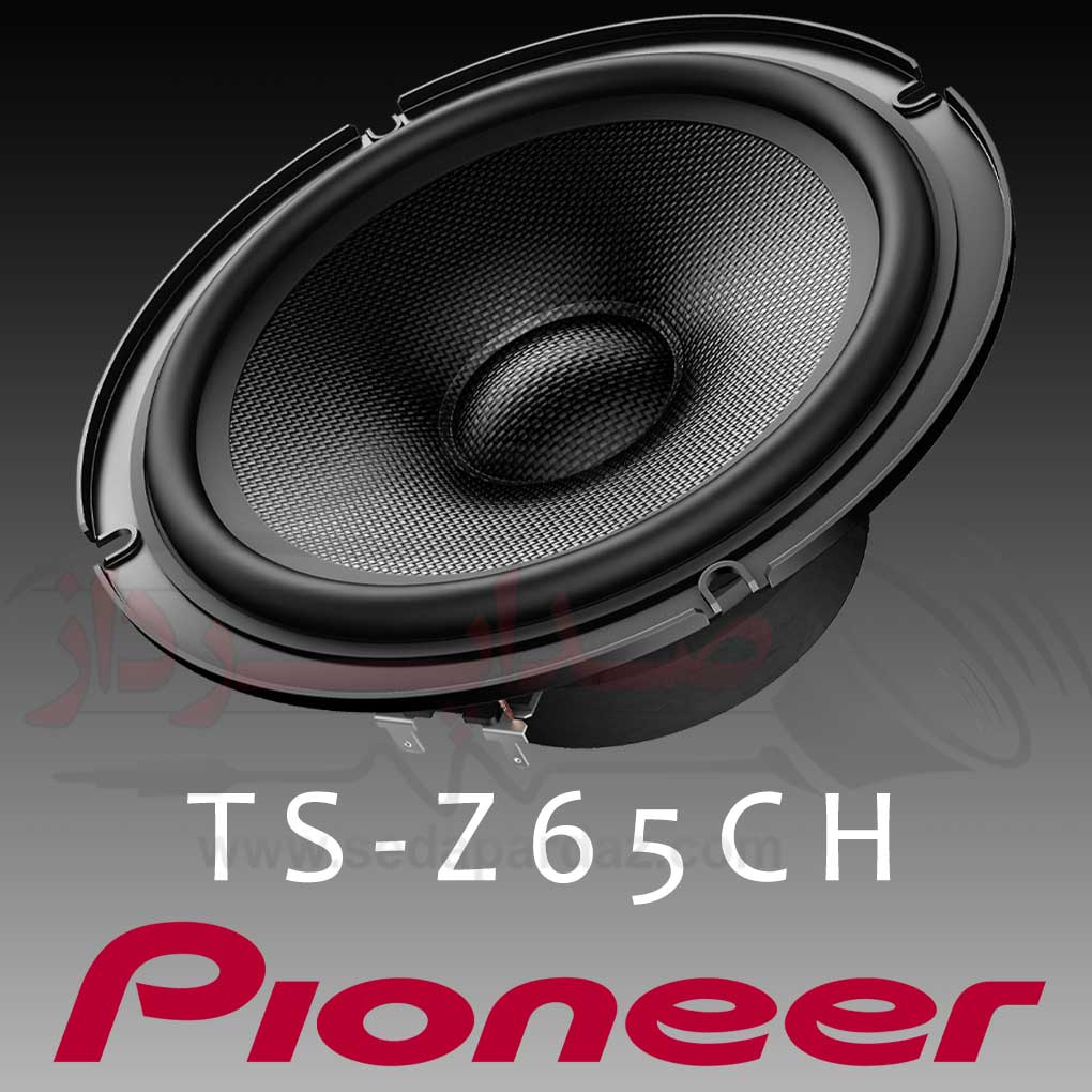 Pioneer TS Z65CH 002