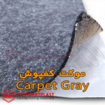 STP Carpet Gray a01