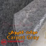STP Carpet Gray a02